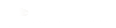 DamidaSoft logó